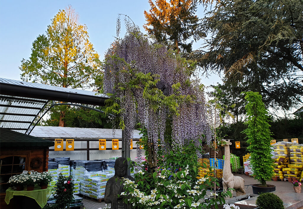 Eingangsbereich mit verschiedener Blumenerde der Pflanzgarten