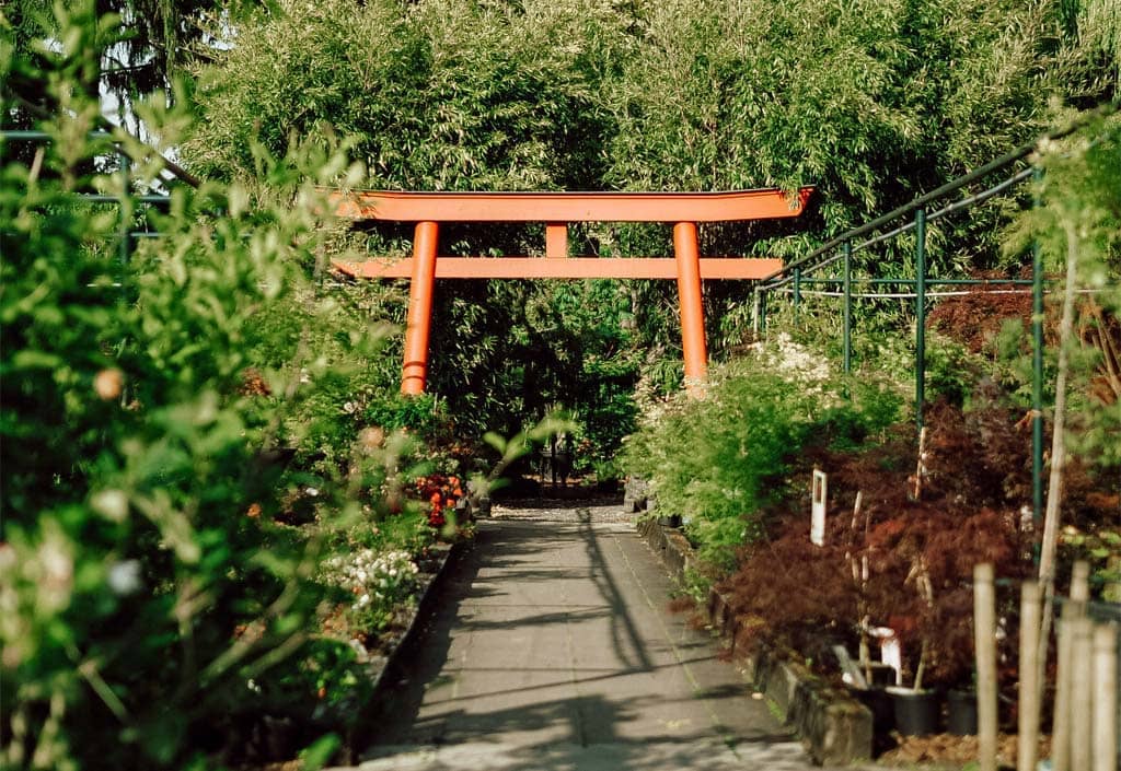 Japangarten Eingangsbogen