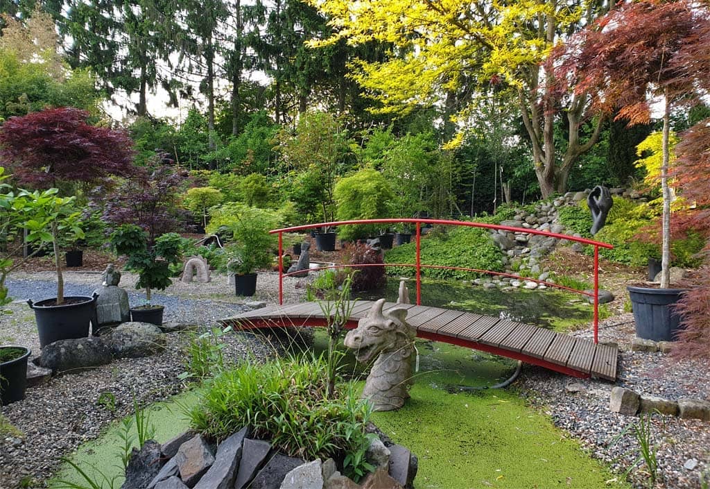 Teich im Japangarten mit Brücke und Drachenstatue