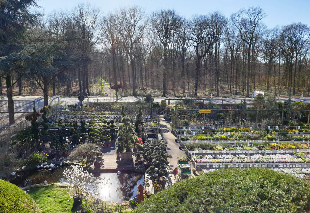 Luftbildaufnahme im Bereich der Stauden und Gräser der Pflanzgarten