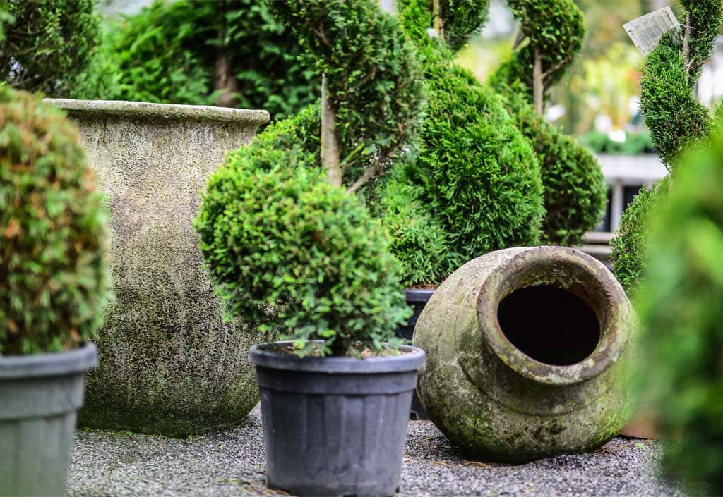 Pflanzgefäß im Mittelpunkt der Pflanzgarten