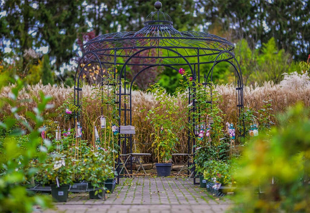 Rosenbogen im Rosengarten vom Pflanzgarten