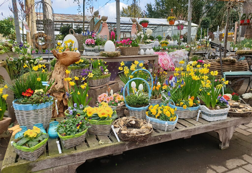 Saisonbereich Frühlingspflanzen und Osterdeko